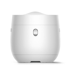 Elegant riskoger med 4 kopper med langsom kogefunktion