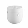 Windspro 20KE multifunktion langsom kogende riskoger med Quick-Cook teknologi